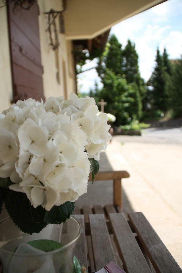 Tauber Lodge Креглинген Екстериор снимка